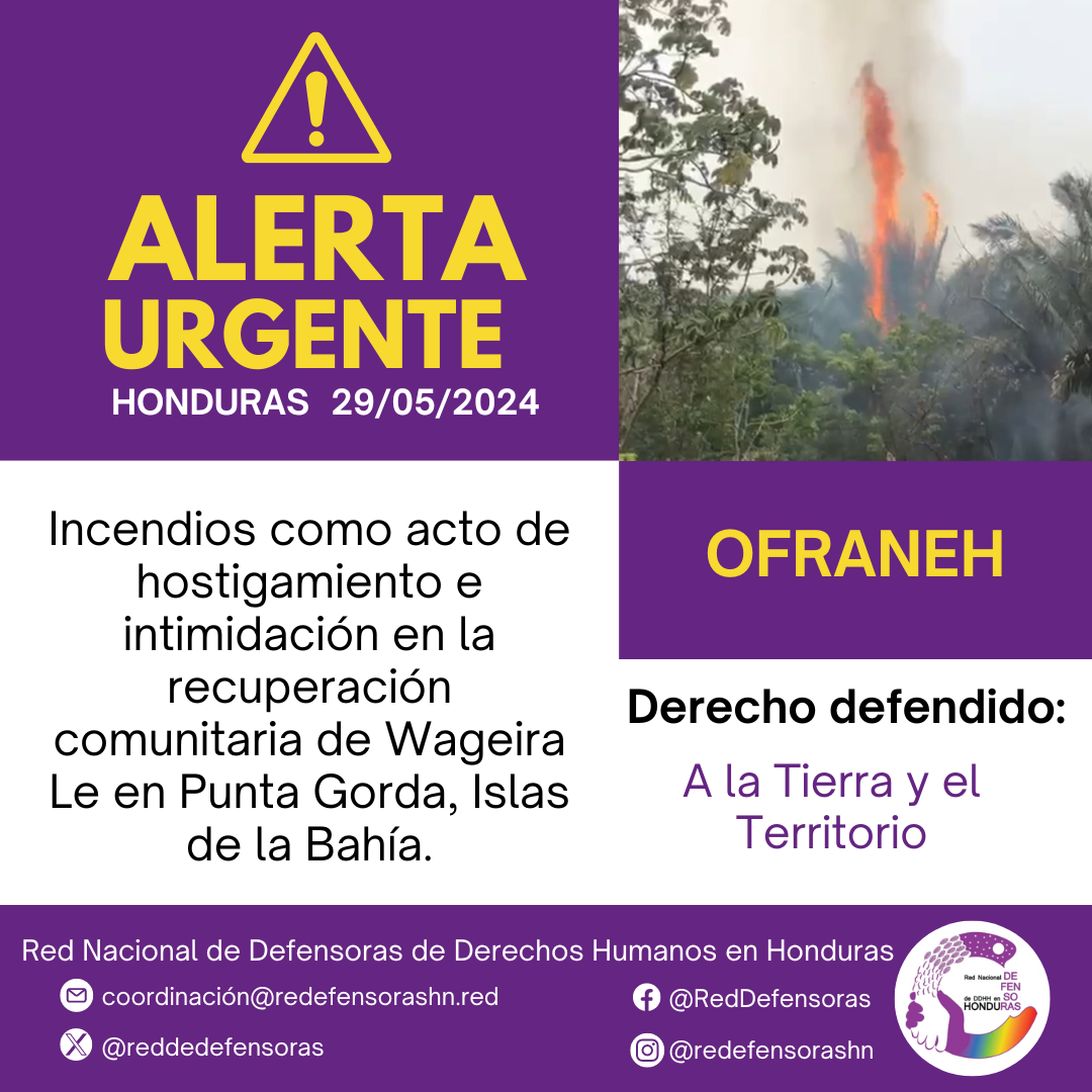 #AlertaUrgente | Incendios como acto de hostigamiento e intimidación en la recuperación comunitaria de Wageira Le en Punta Gorda, Islas de la Bahía.